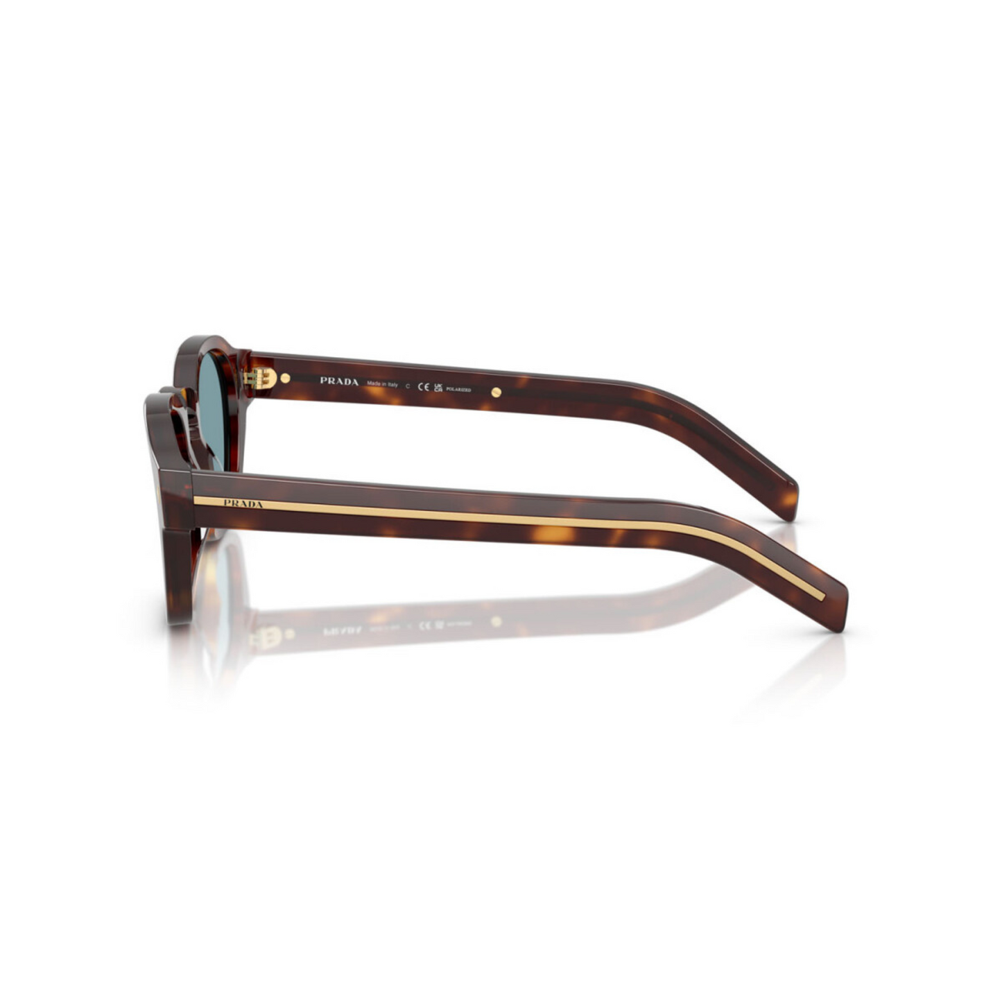 BrownHavana15W04D