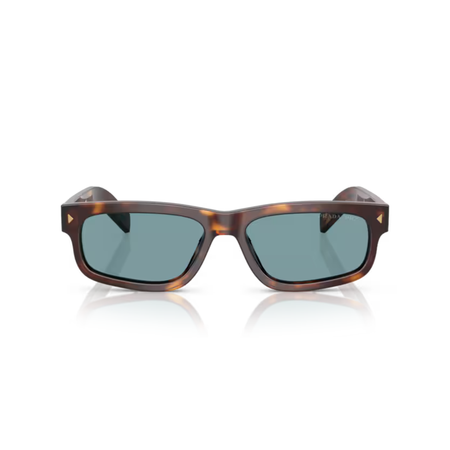 ClassicTortoiseBrown15W04D