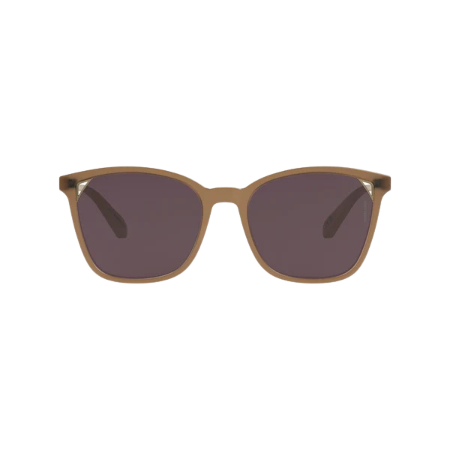 Intense Eyewear ES4110 womens acetate cateye sunglasses front view