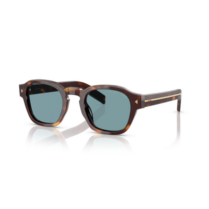 BrownHavana15W04D 