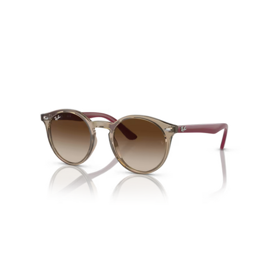 TransparentBrown/712313