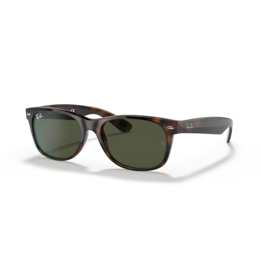 BrownTortoise902
