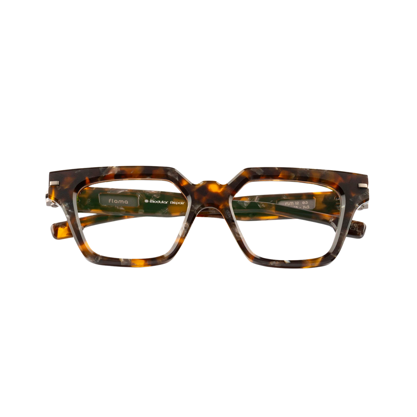 BrownTortoise03