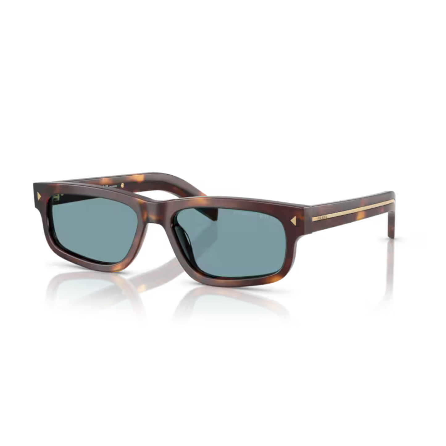 ClassicTortoiseBrown15W04D