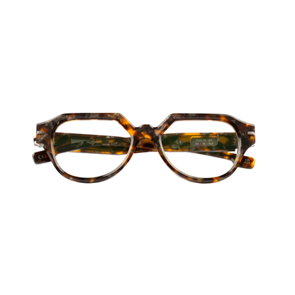 TortoiseBrown05