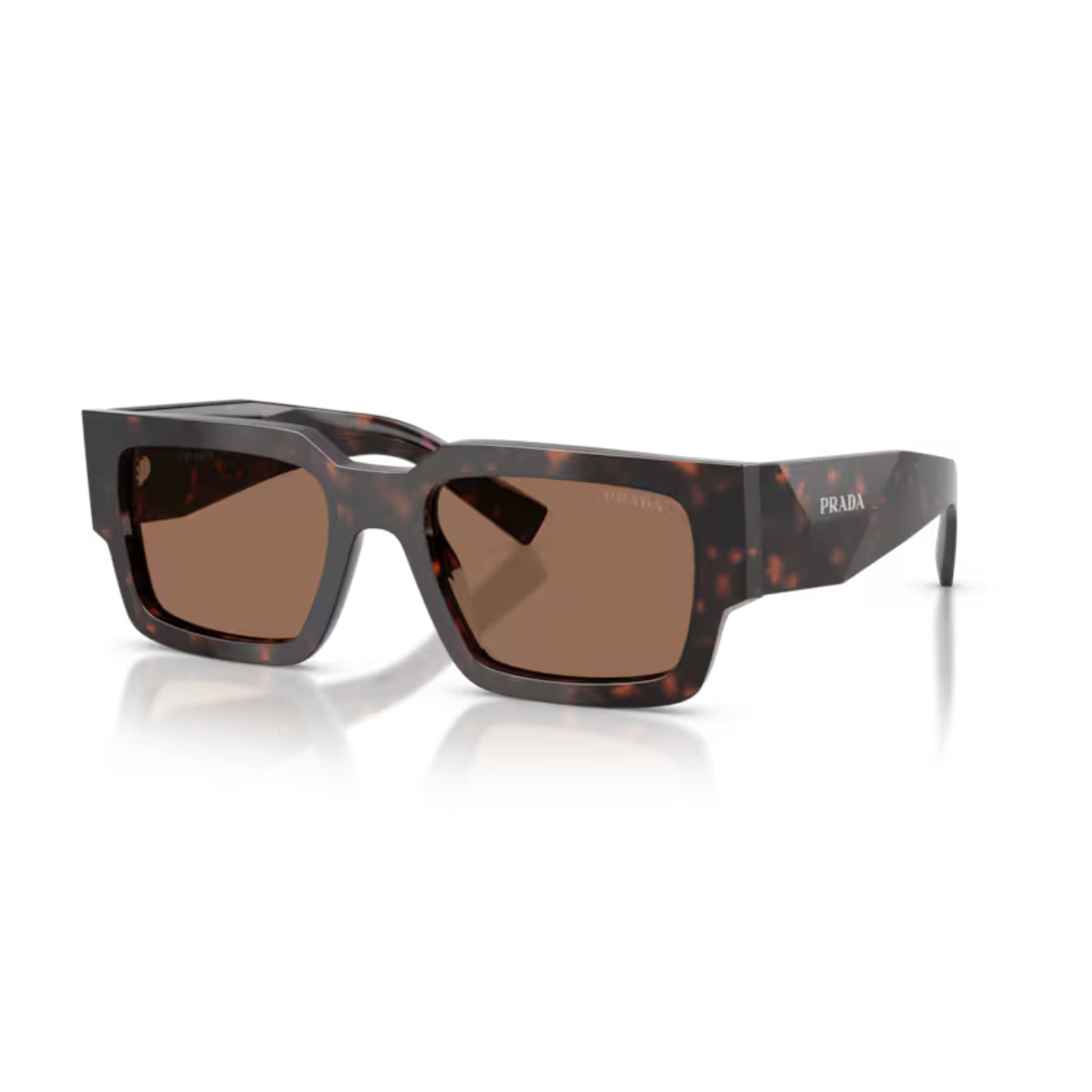 RootBrown17N06B
