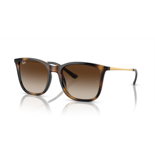 BrownHavana710/13