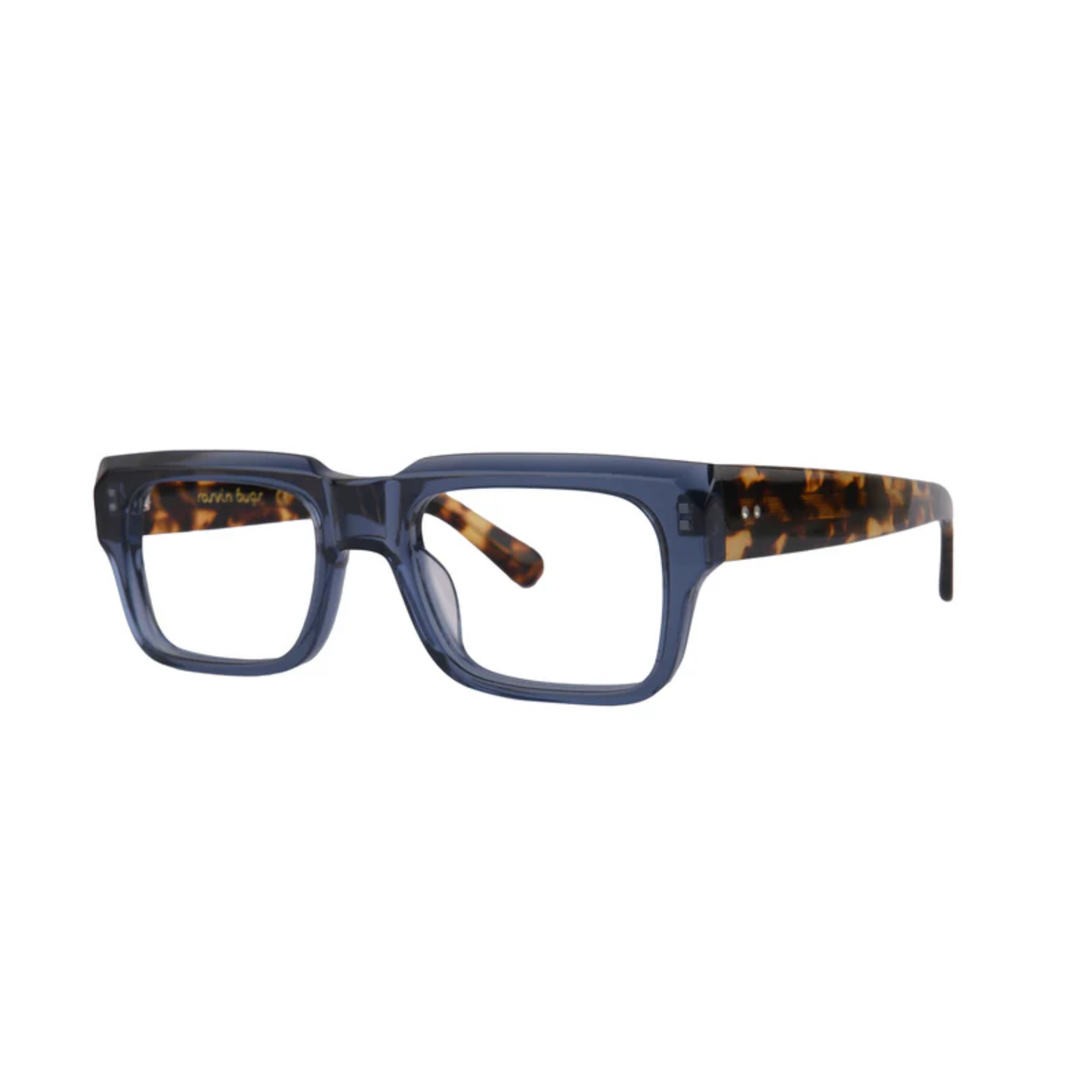 BlueTortoise004