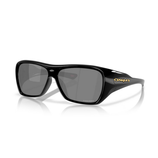 PolishedBlack / 01