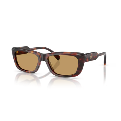Brown27L10Y 