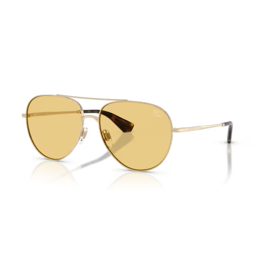 LightGold110985 