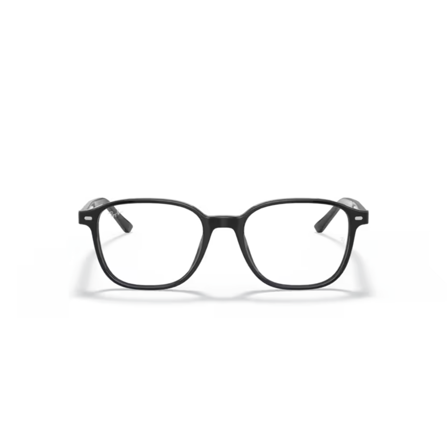 RB5393 Leonard