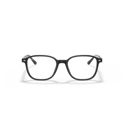 RB5393 Leonard