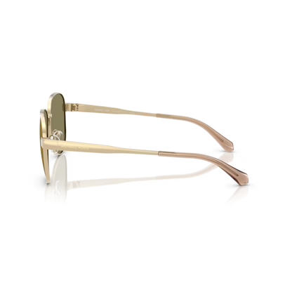 Gold10149A Michael Kors MK1160 Biarritz sunglasses
