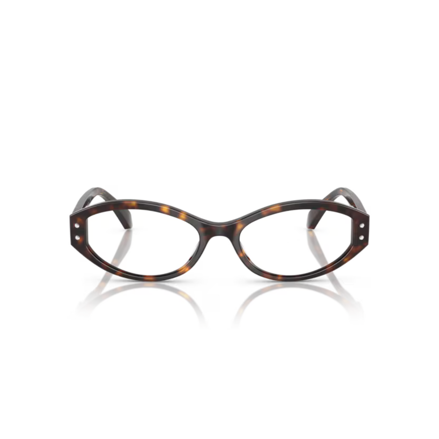 DarkTortoise/3006