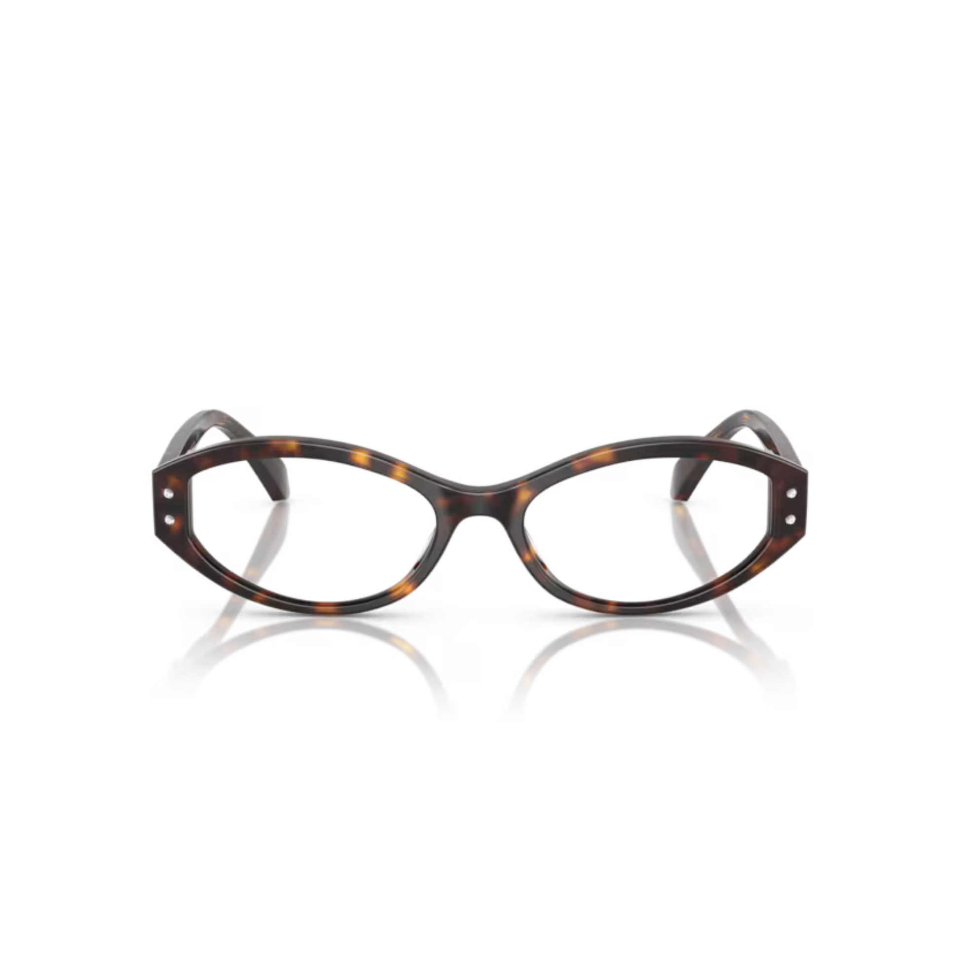DarkTortoise/3006