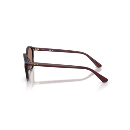 TransparentRed327073 