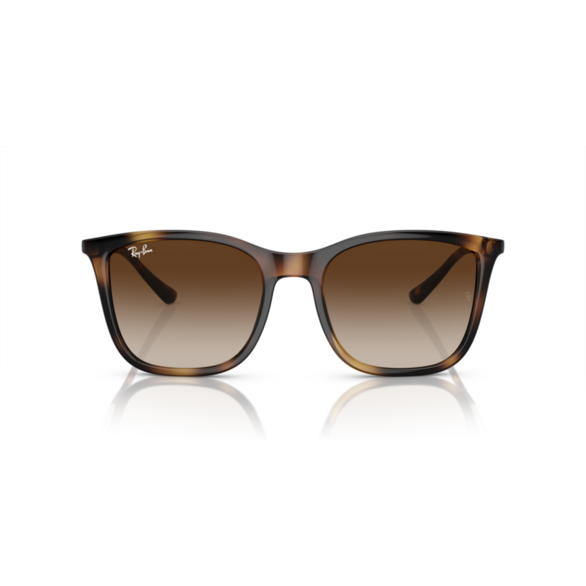 BrownHavana710/13