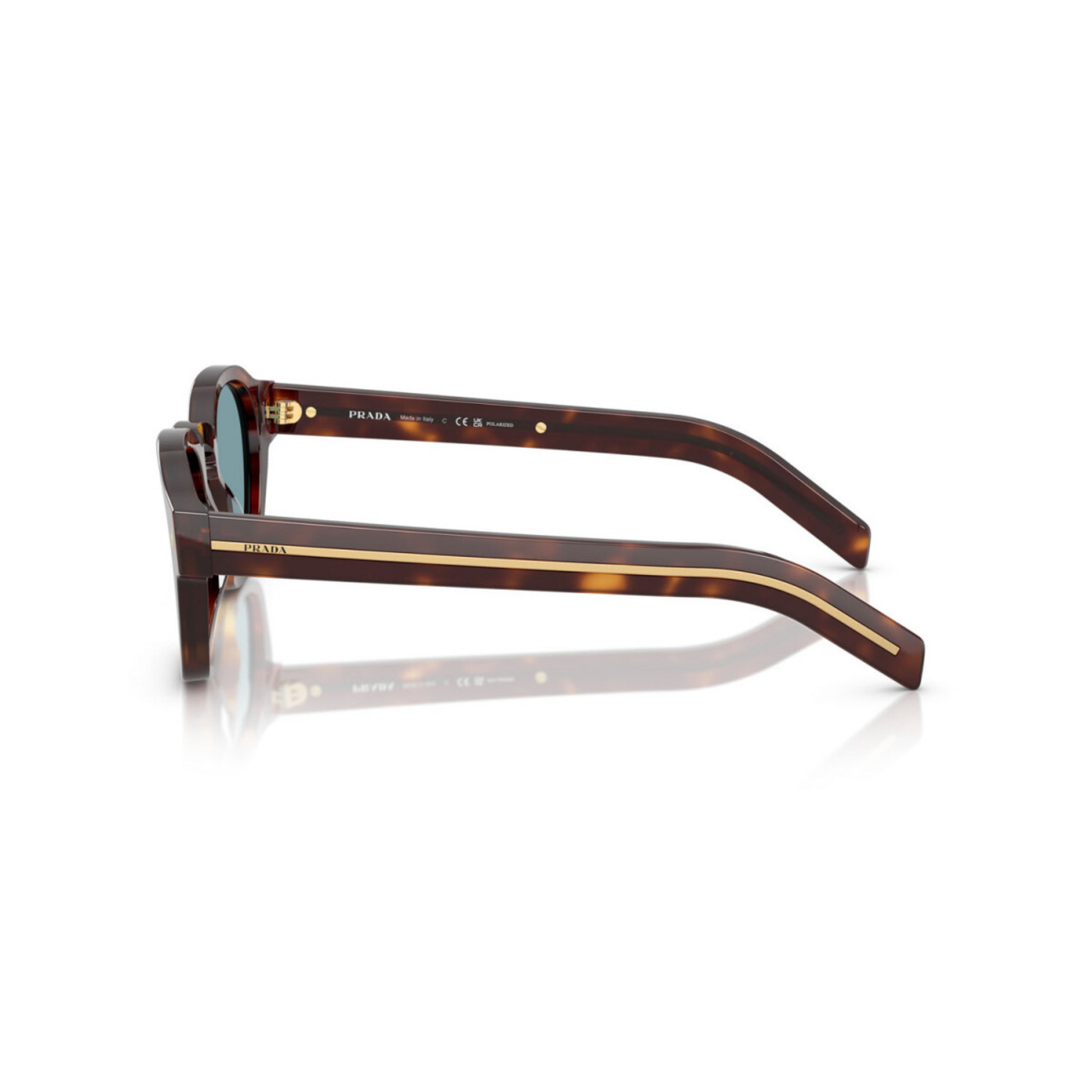 BrownHavana15W04D 