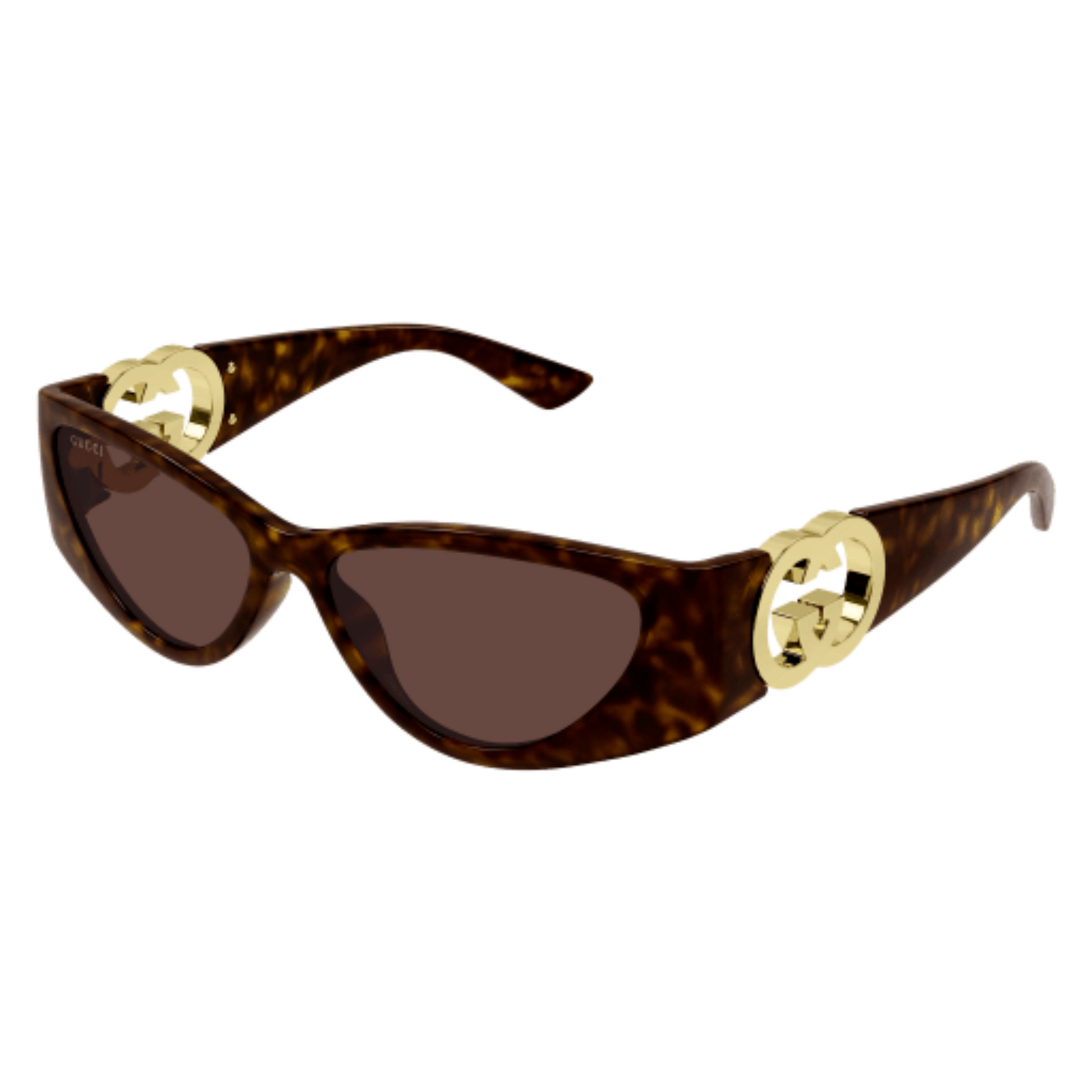 BrownHavana002