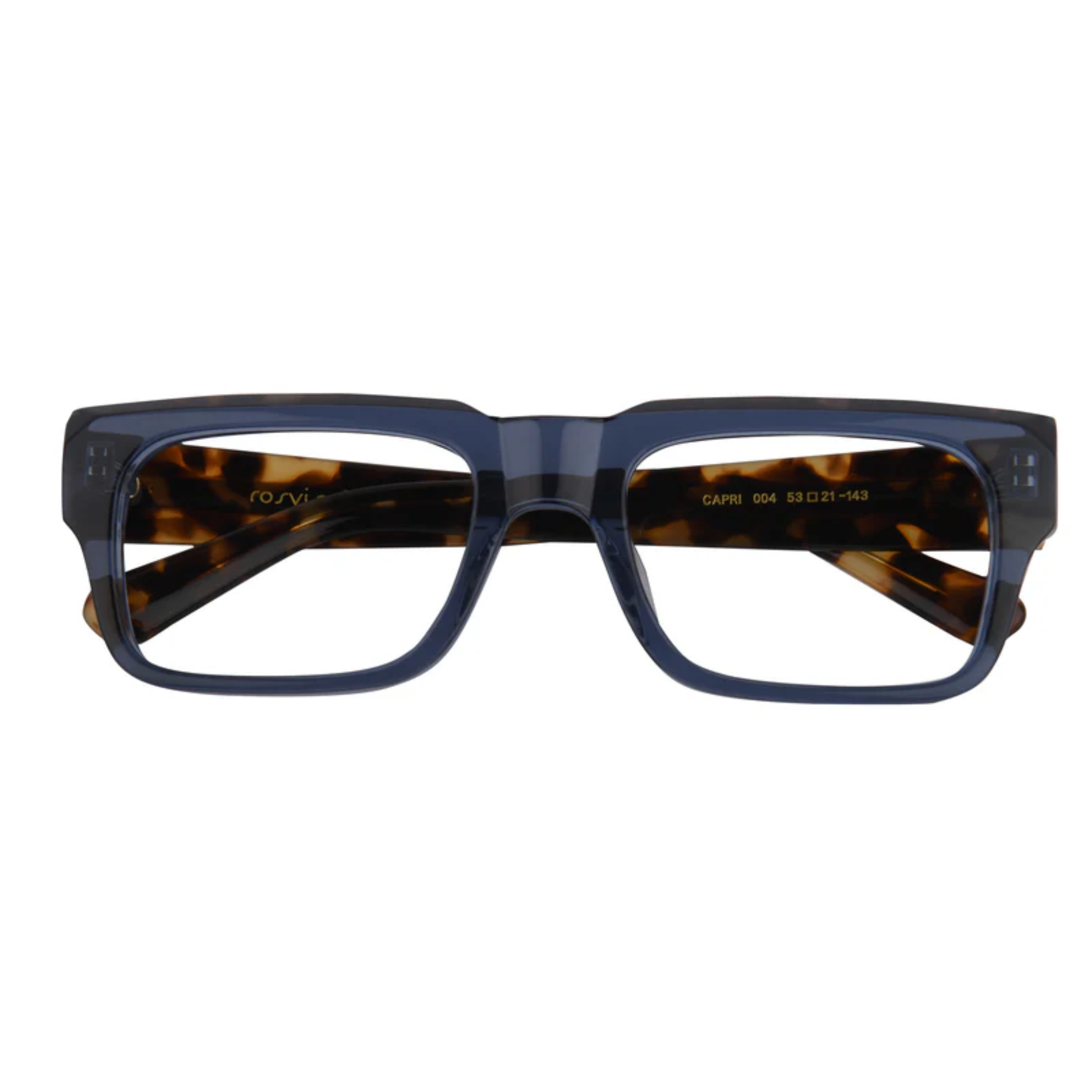 BlueTortoise004