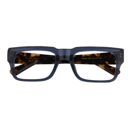 BlueTortoise004