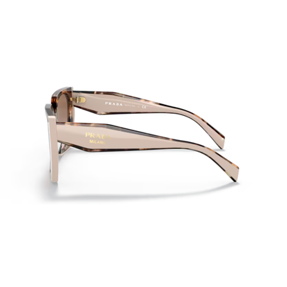 TortoiseBrown/Caramel01R0A6