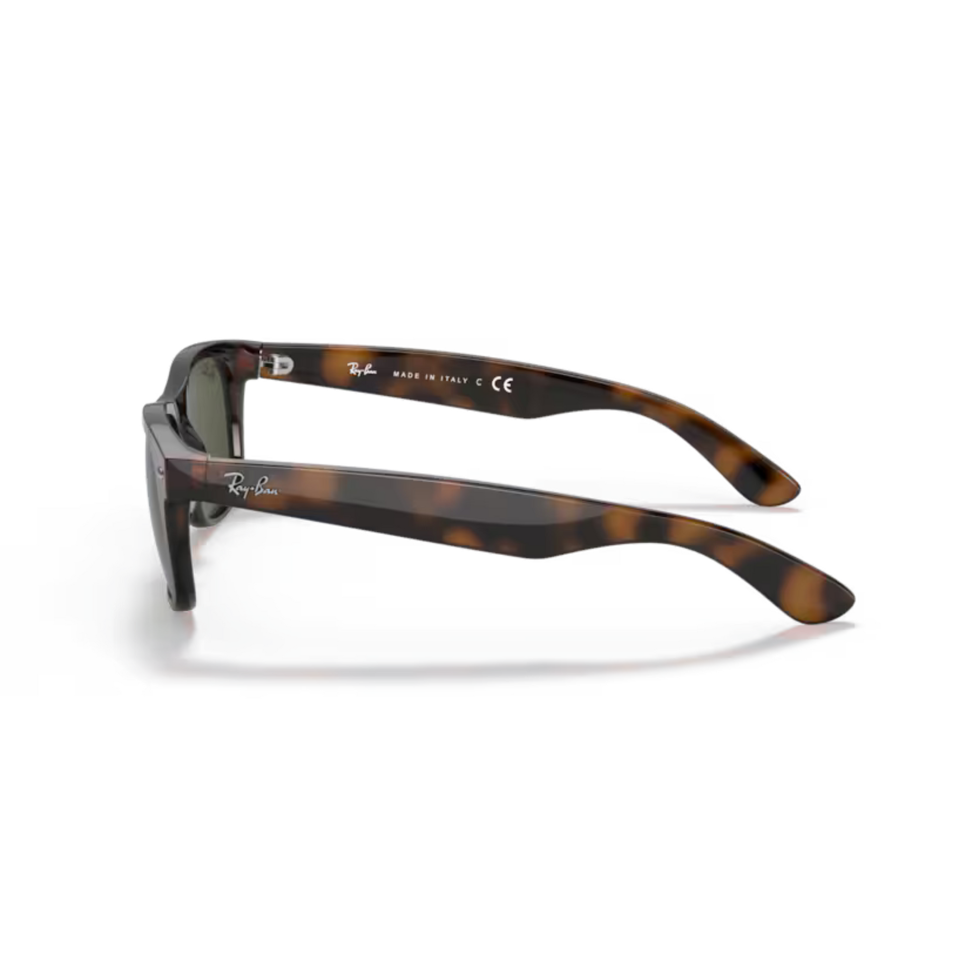 BrownTortoise902