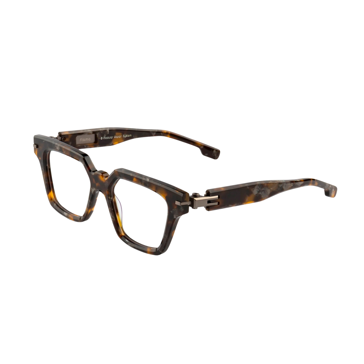 BrownTortoise03