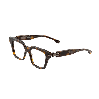 BrownTortoise03
