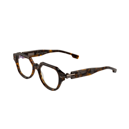 TortoiseBrown05