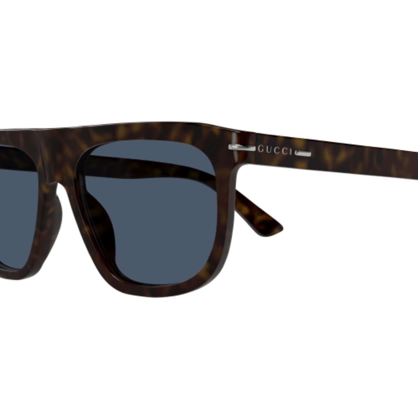 GG1726SDarkBrownHavana002