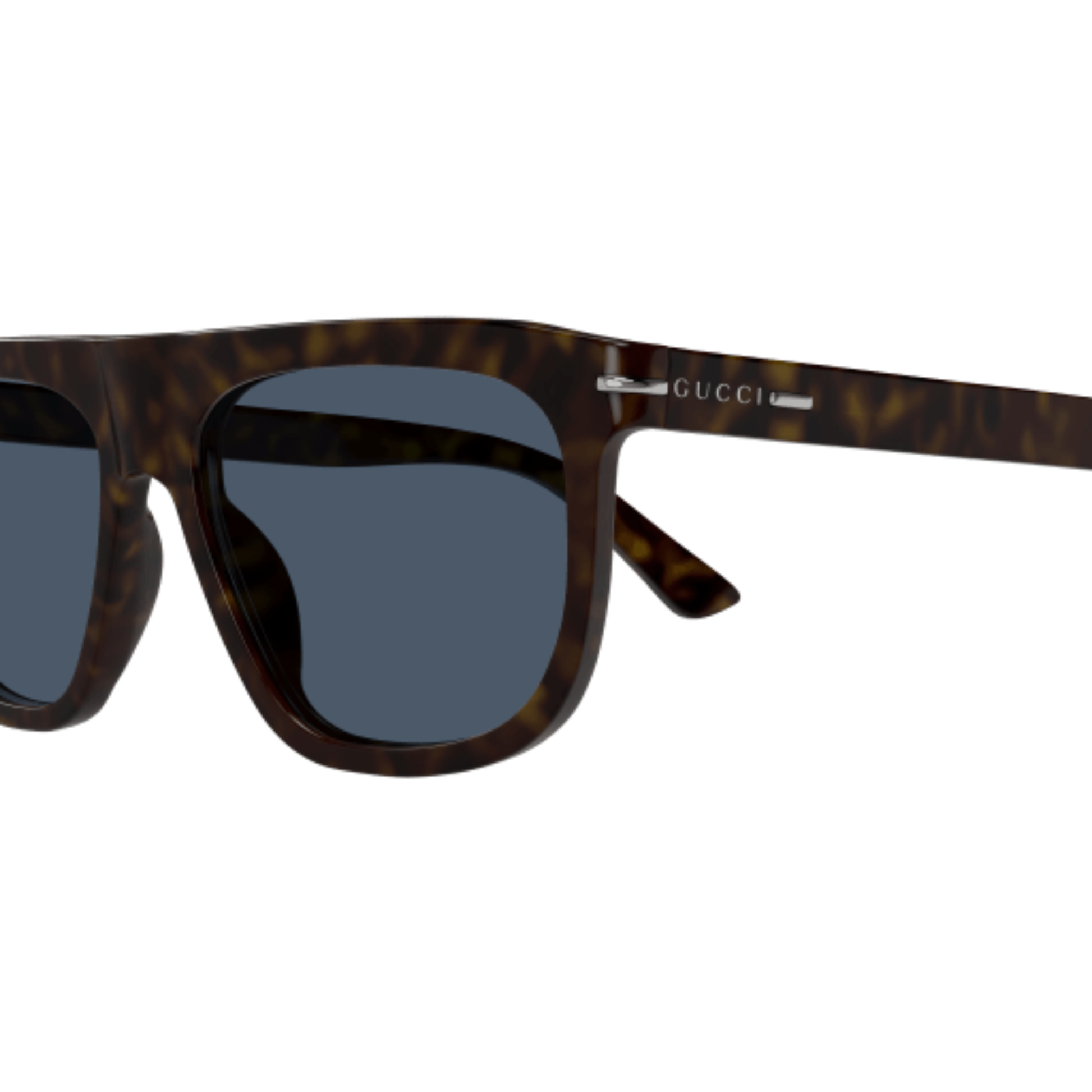 GG1726SDarkBrownHavana002