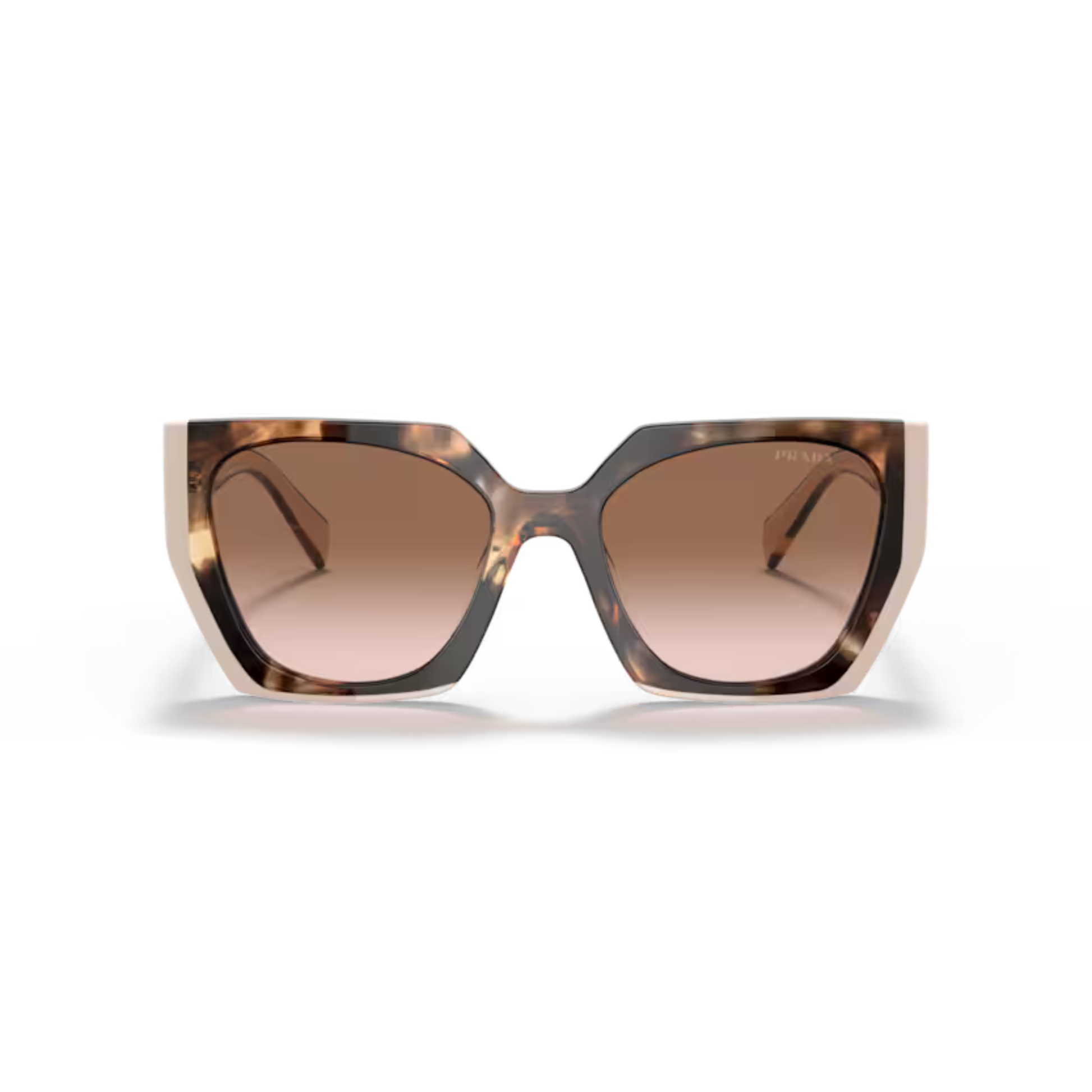 TortoiseBrown/Caramel01R0A6