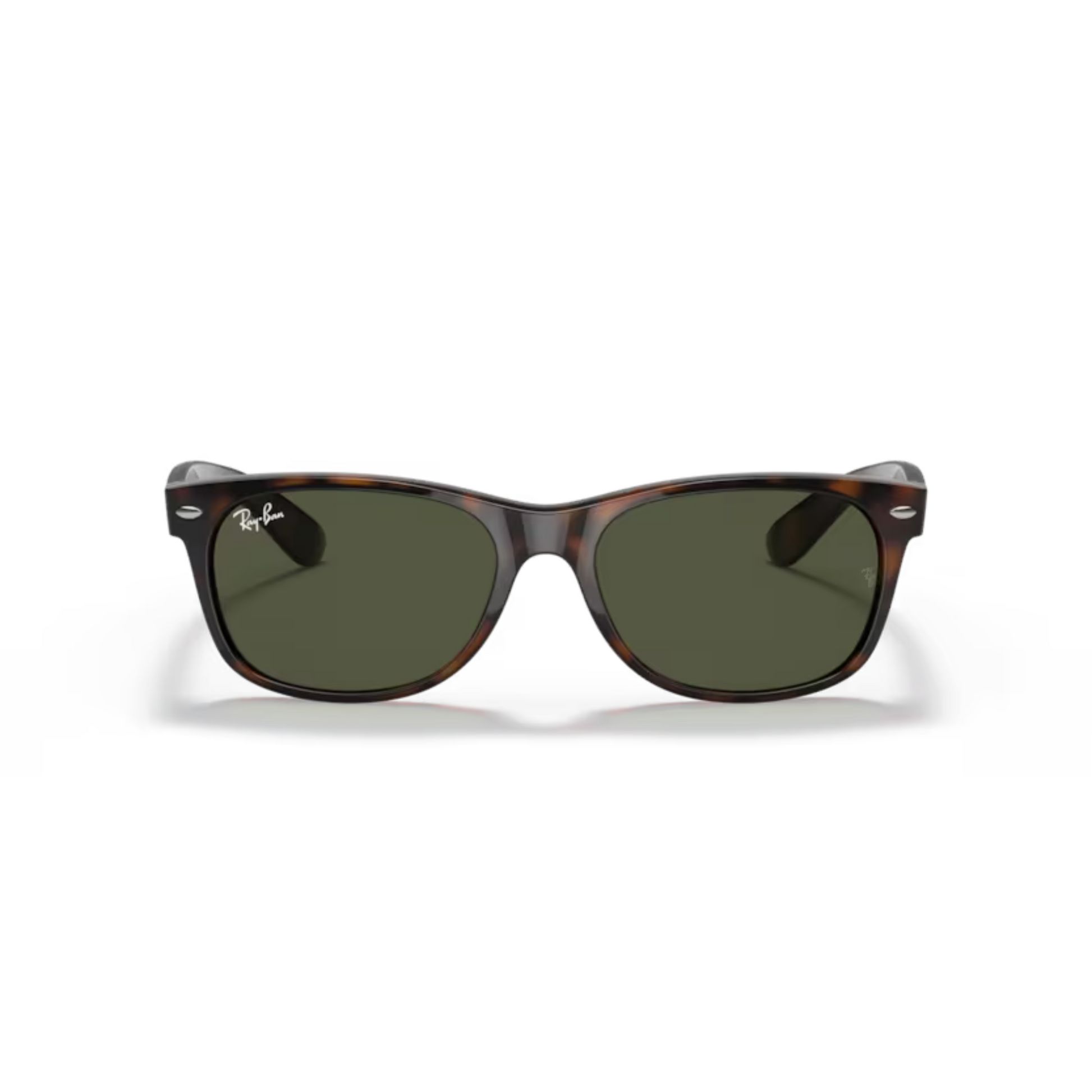 BrownTortoise902