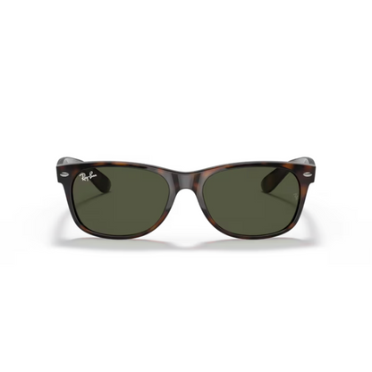BrownTortoise902