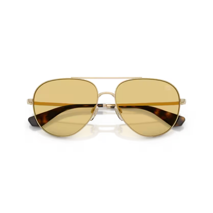 LightGold110985 