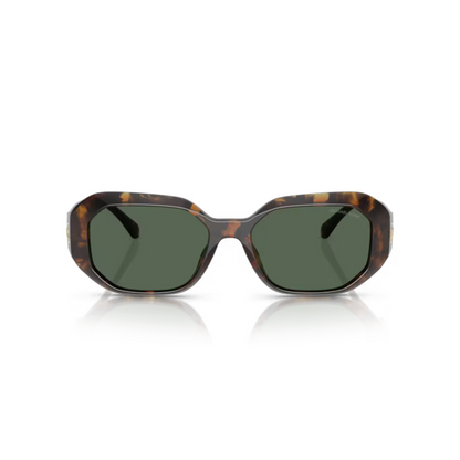 DarkBrownTortoise/300671