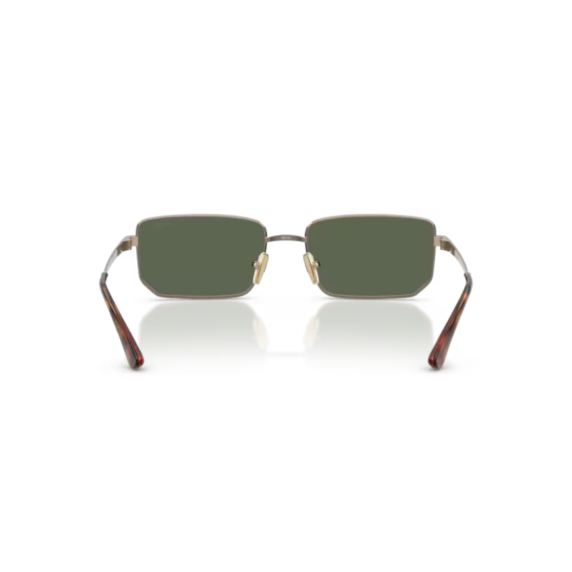 LightBrown513871