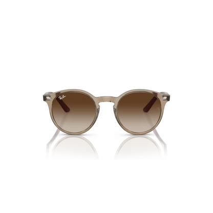 TransparentBrown/712313
