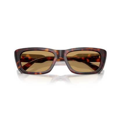 Brown27L10Y 