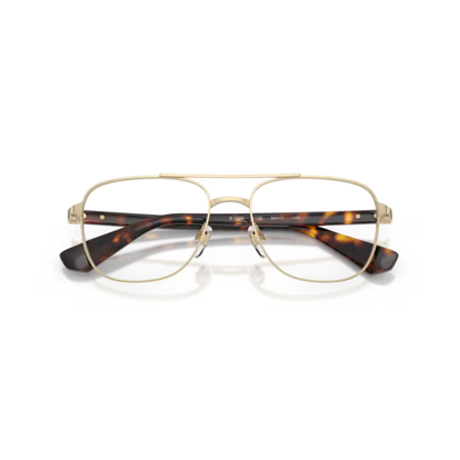 LightGold1109