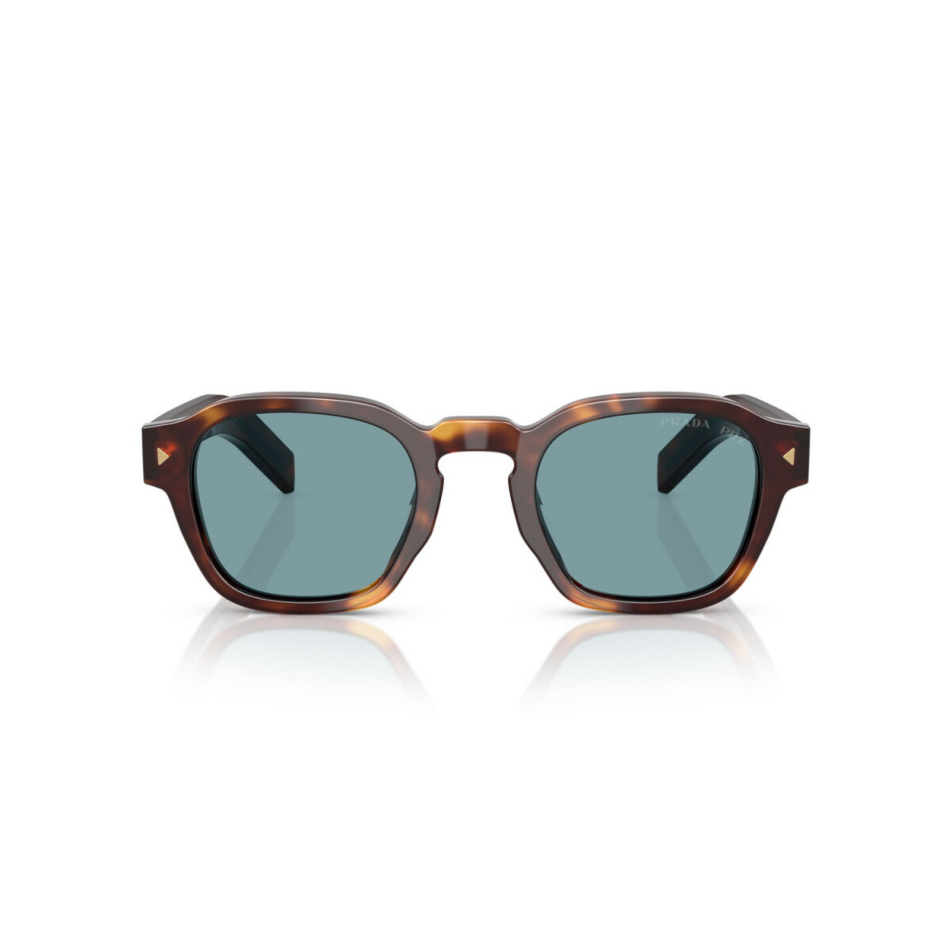 BrownHavana15W04D 
