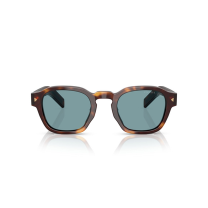 BrownHavana15W04D 