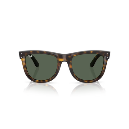 DarkBrownHavana/6790VR