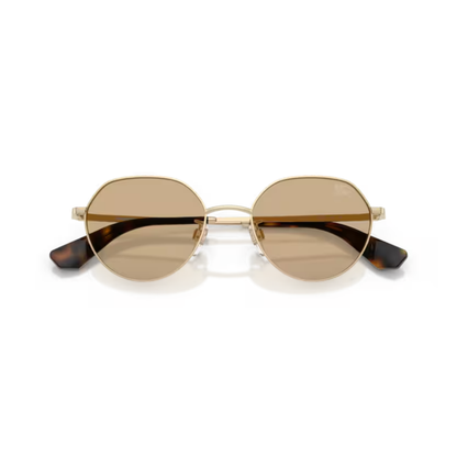 LightGold110973 