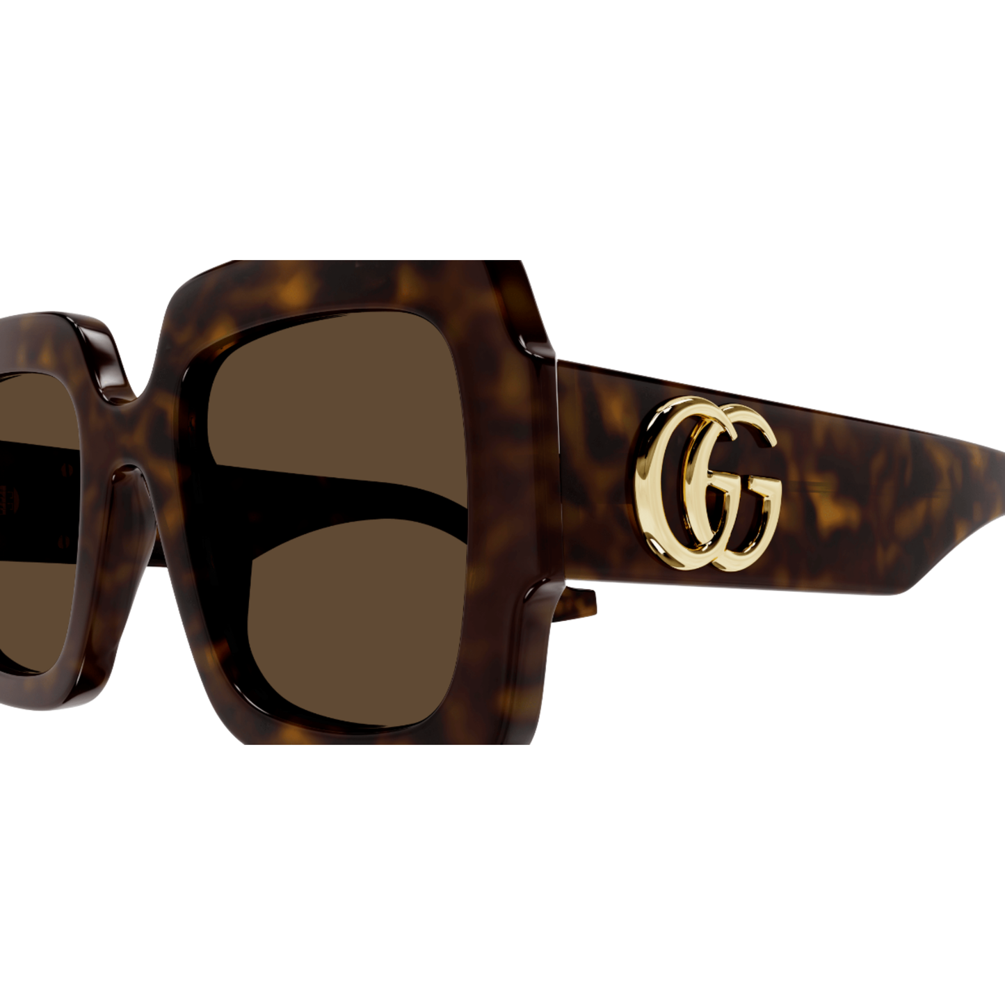 GG1547S 002 Havana Brown