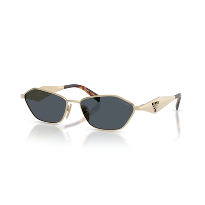 PalegoldZVN70B 