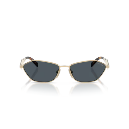PALEGOLDZVN70B