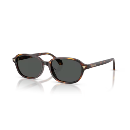 HavanBrown553773 “Versace VE4514D 53 square sunglasses black grey luxury designer”
